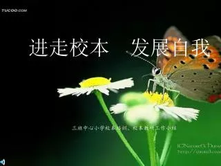 进走校本 发展自我