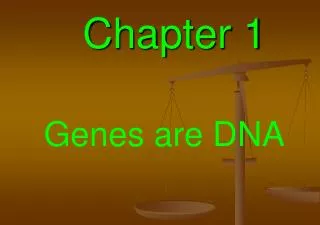 Chapter 1