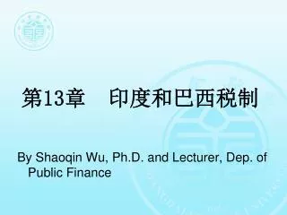第 13 章 印度和巴西税制