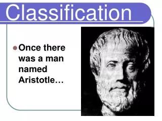Classification