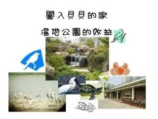 濕地的作用