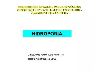 HIDROPONIA
