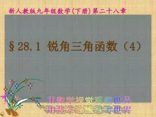 新人教版 九年级数学 ( 下册 ) 第二十八章
