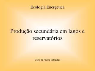 Produção secundária em lagos e reservatórios