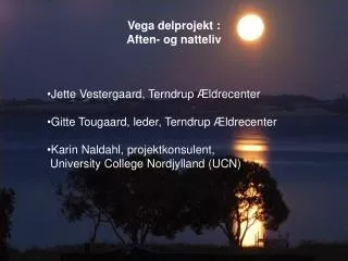 Vega delprojekt : Aften- og natteliv
